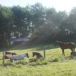 Am Hohenbusch Burg Reuland