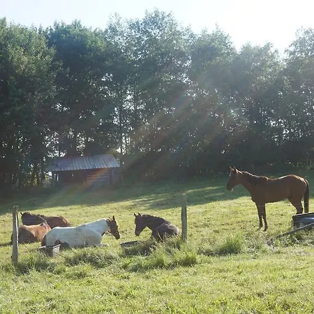 Am Hohenbusch Burg Reuland