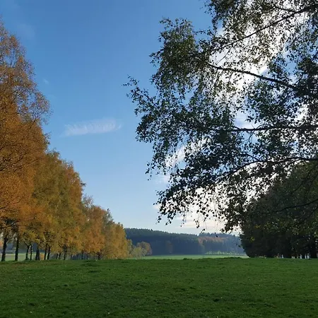 Am Hohenbusch